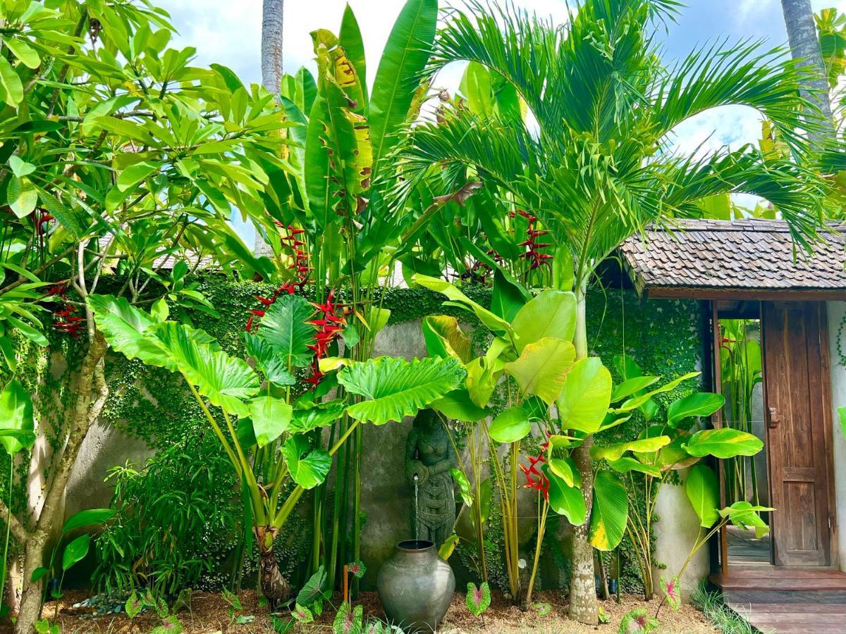 Jati Kuta Lombok 호텔 외부 사진